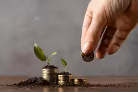 Mutual Fund Investment